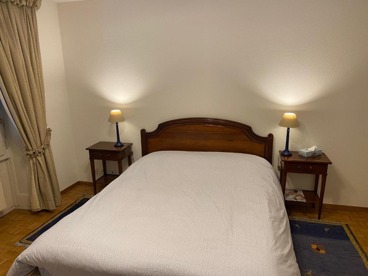 Geneve, Plein Centre,Belle Vue Lac, Splendide Et Grand Appartement Dış mekan fotoğraf