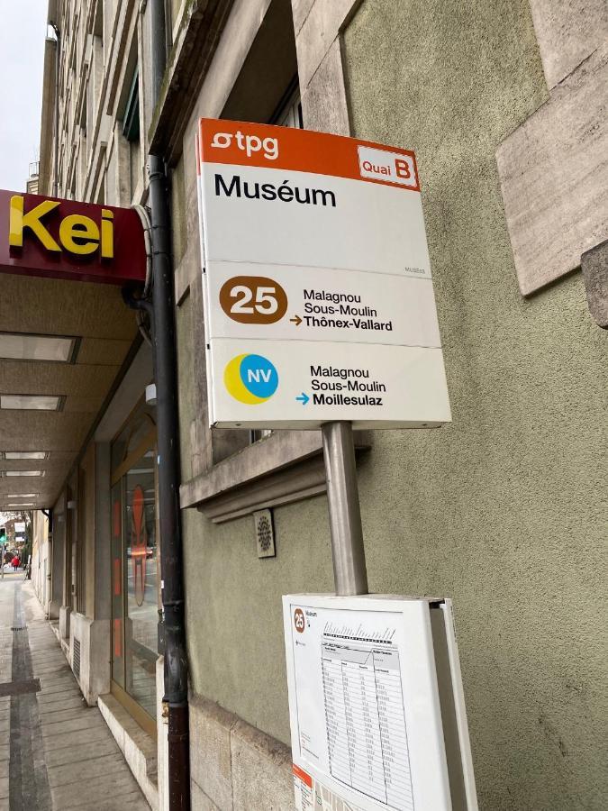 Geneve, Plein Centre,Belle Vue Lac, Splendide Et Grand Appartement Dış mekan fotoğraf